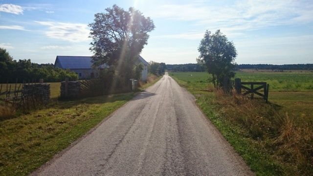 DSC_0507.jpg