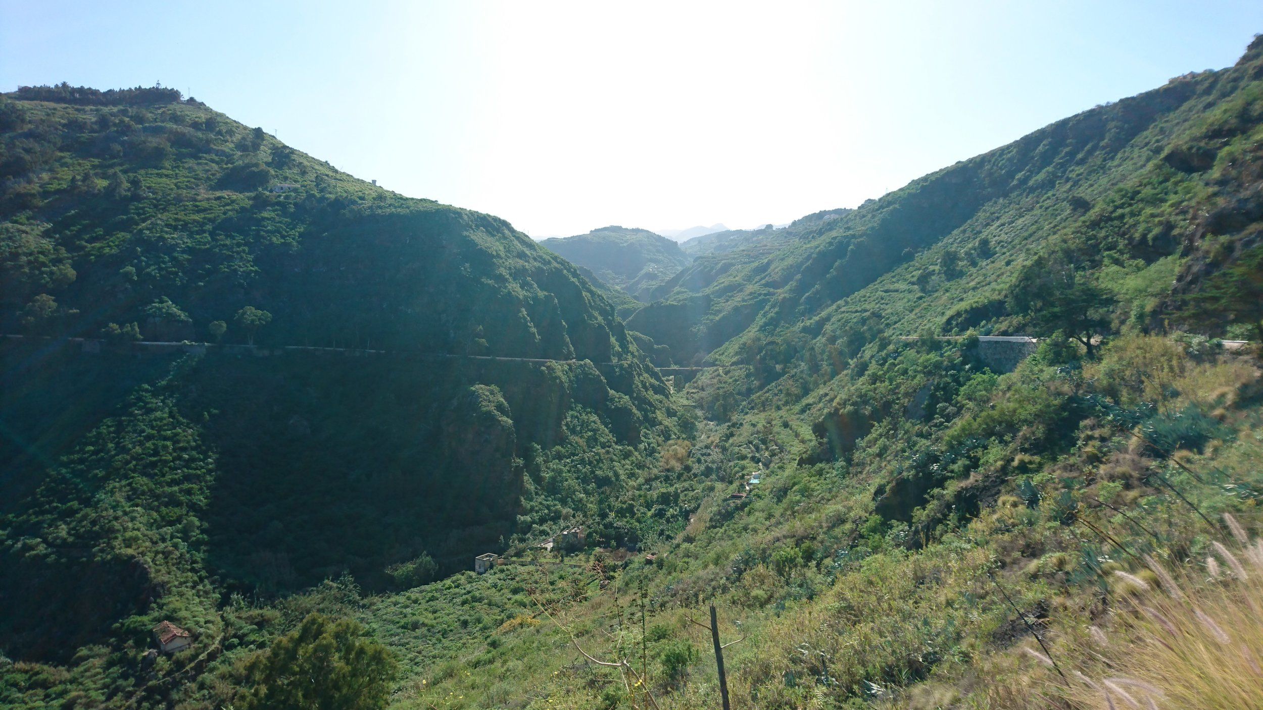 DSC_0510.JPG