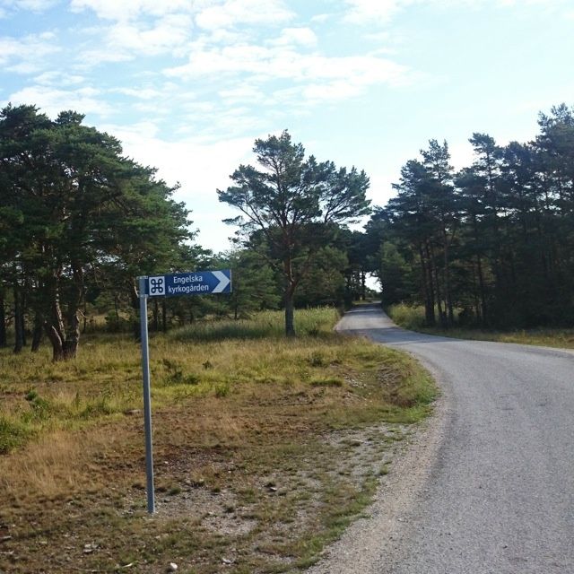 DSC_0515.jpg