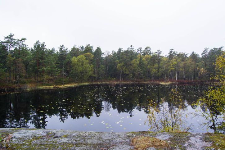 DSC_0516.jpg