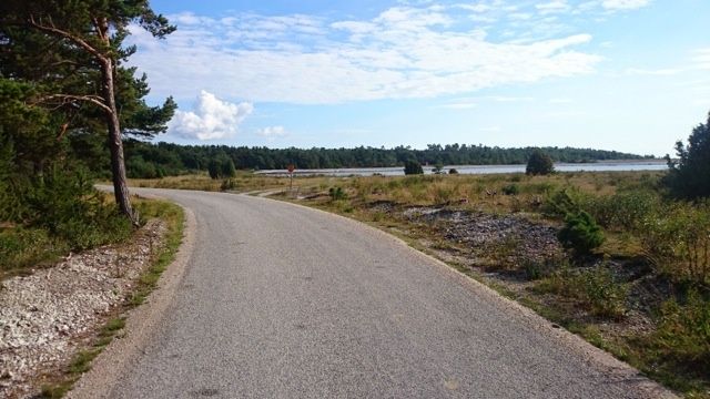 DSC_0517.jpg