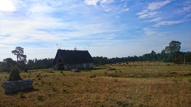 DSC_0524.jpg