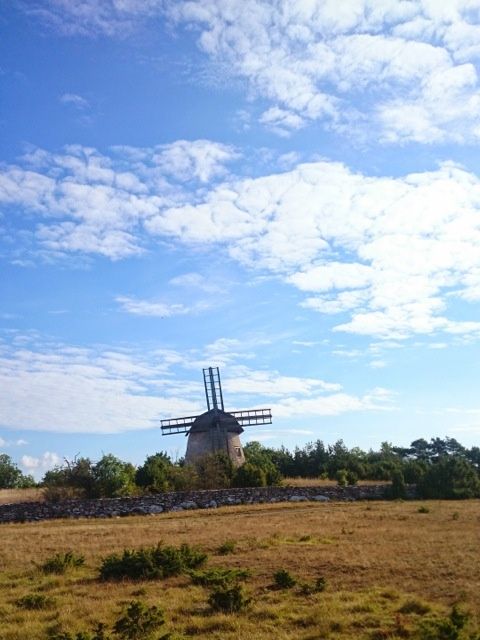 DSC_0526.jpg