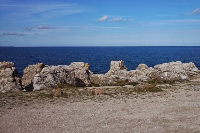 DSC_0543.jpg