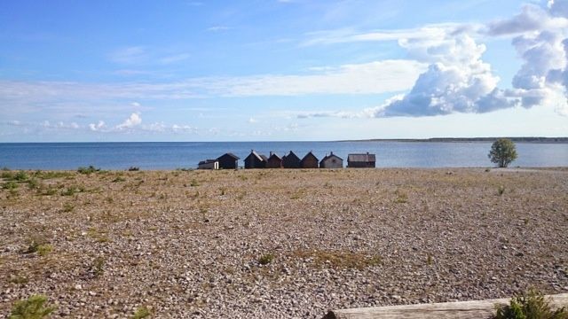 DSC_0551.jpg
