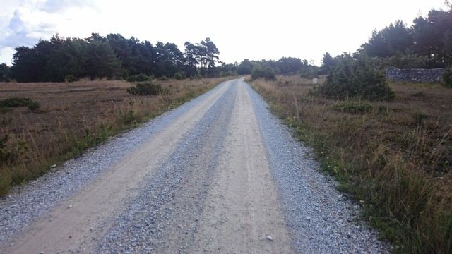 DSC_0552.jpg