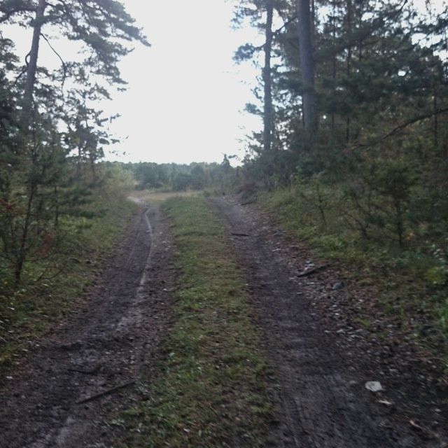 DSC_0553.jpg