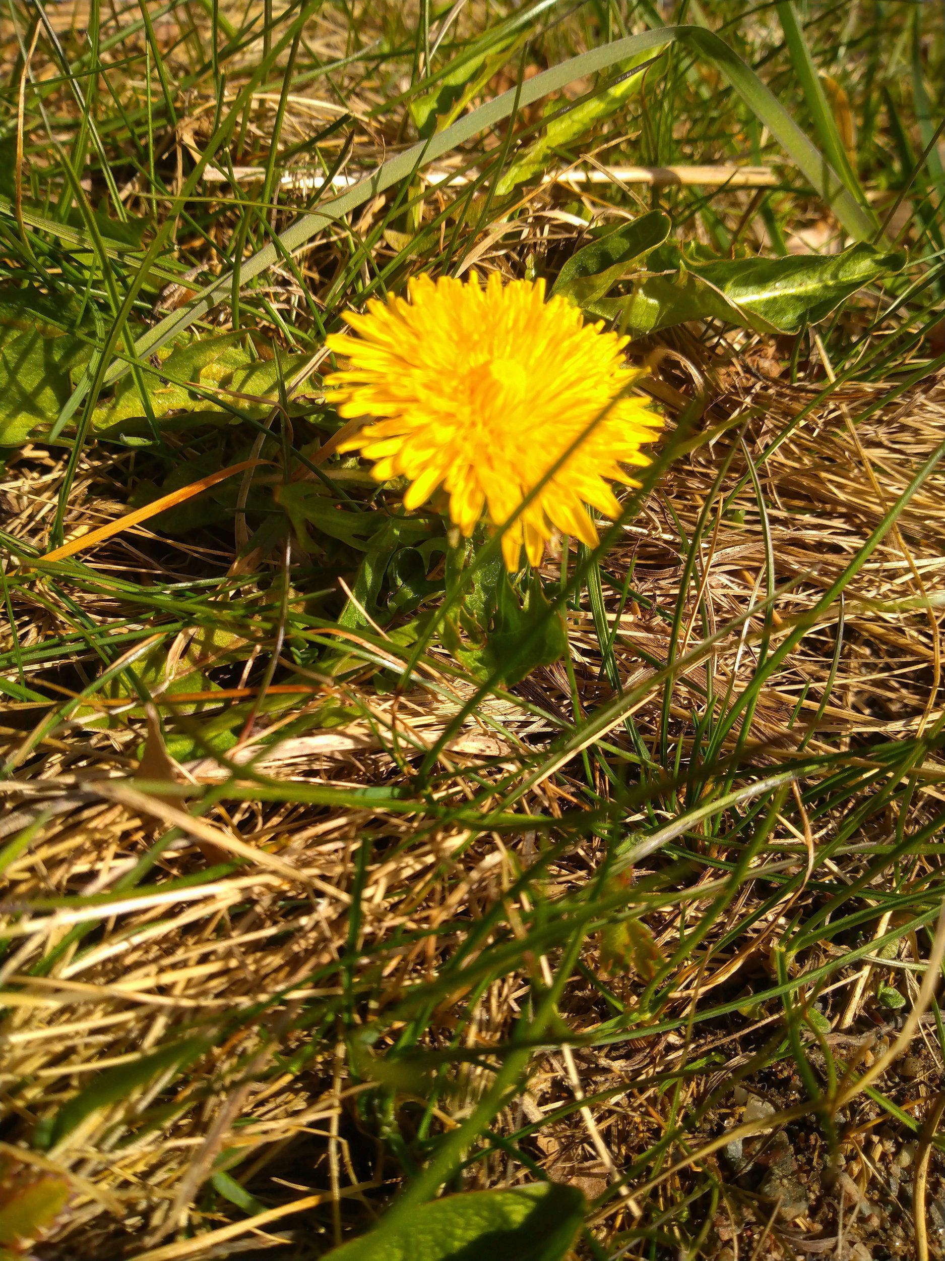 DSC_0556.JPG