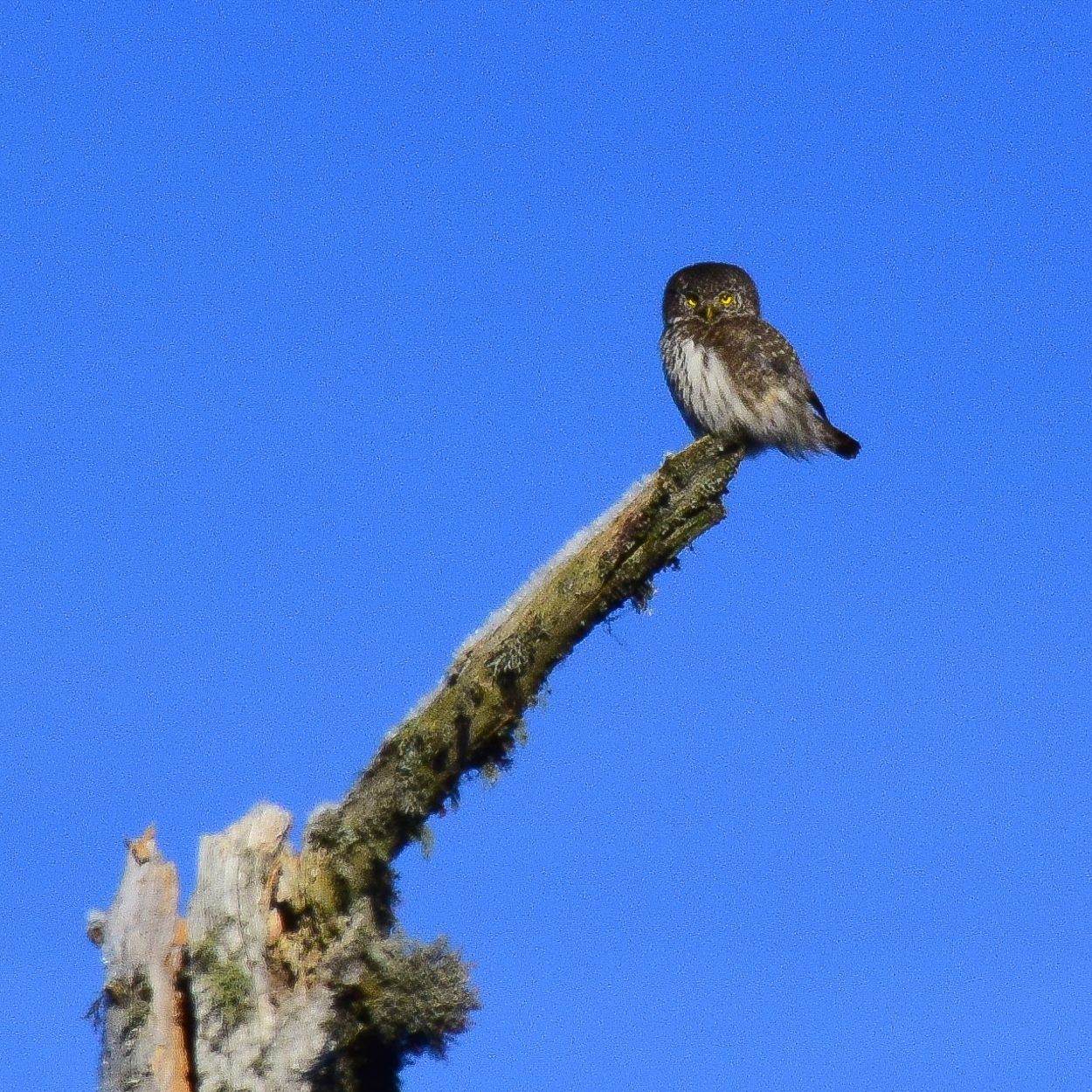 DSC_0560_edited.jpg