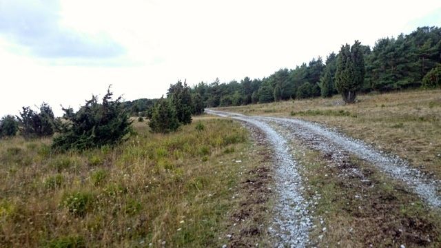 DSC_0574.jpg