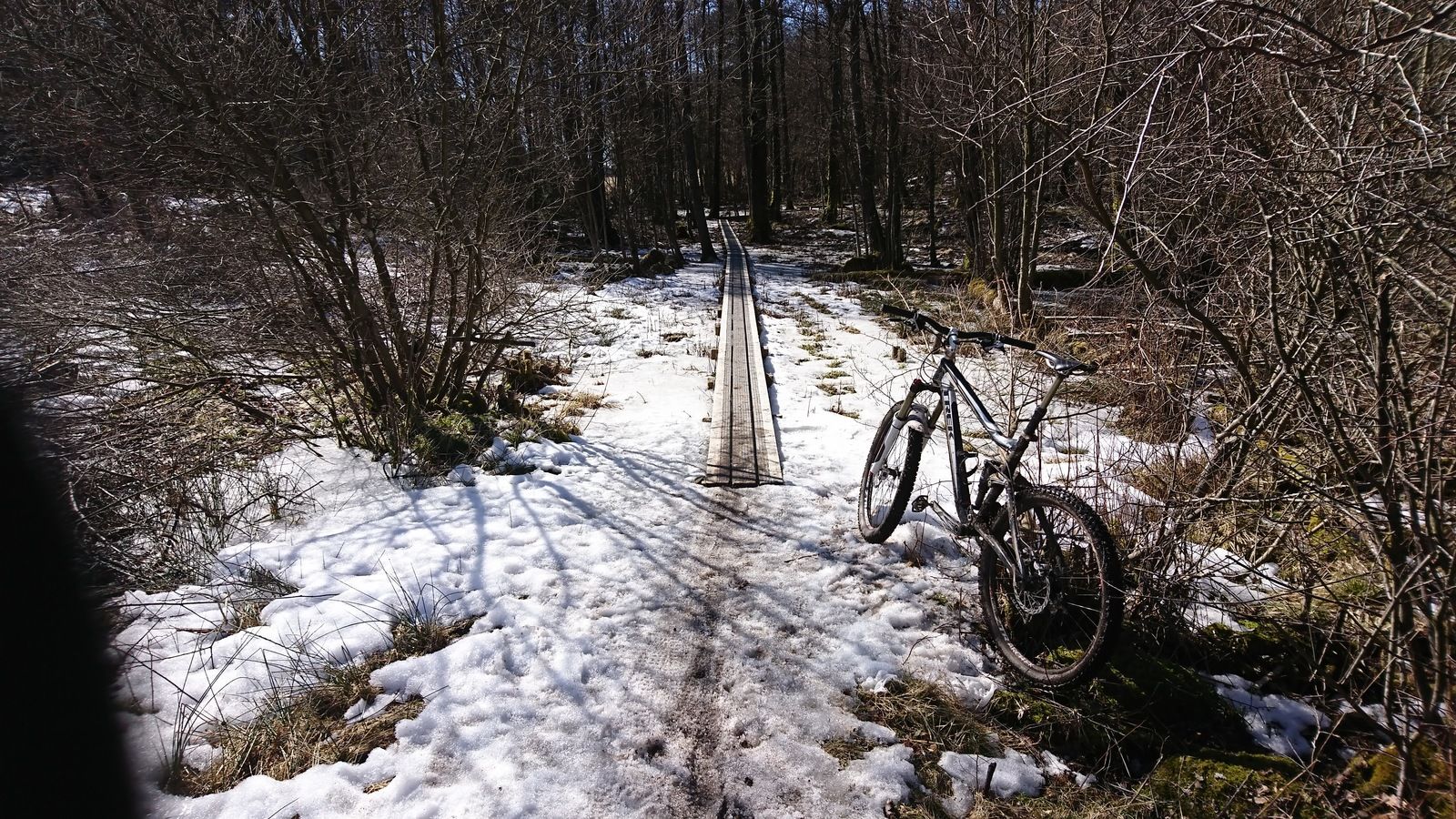 DSC_0580.JPG