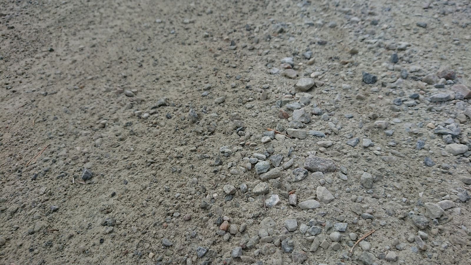 DSC_0661.JPG