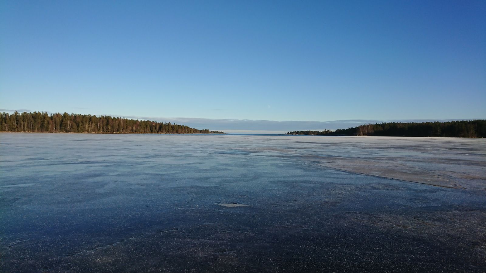 DSC_0719.JPG