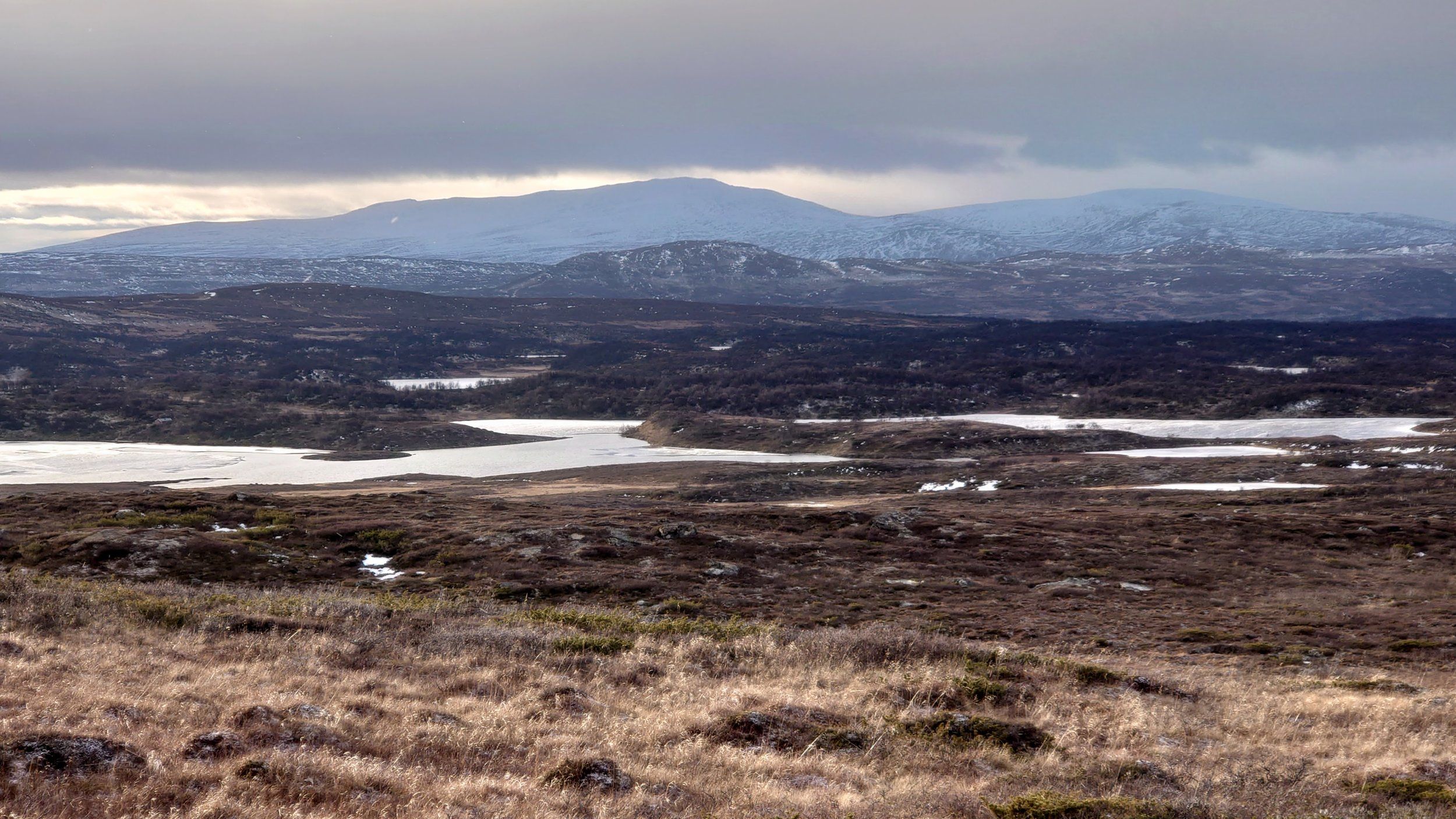 DSC_0725.JPG
