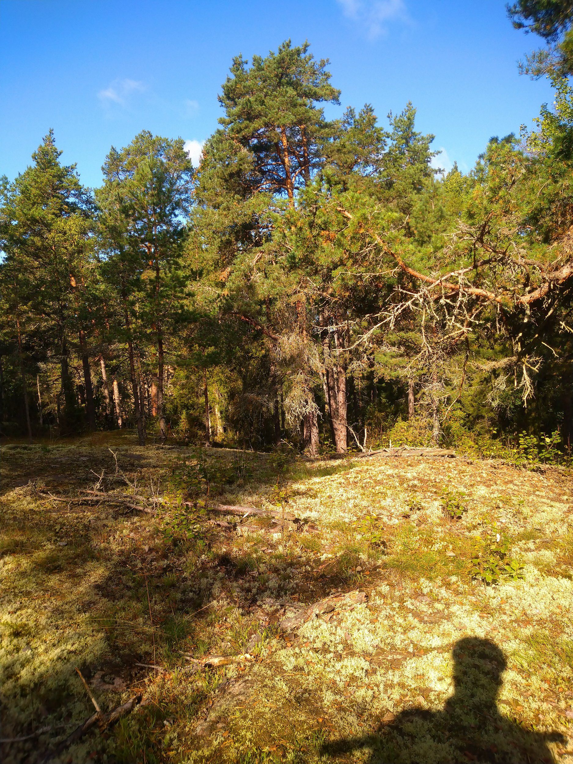 DSC_0765.JPG