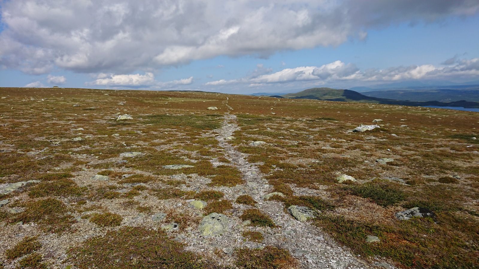 DSC_0783.JPG