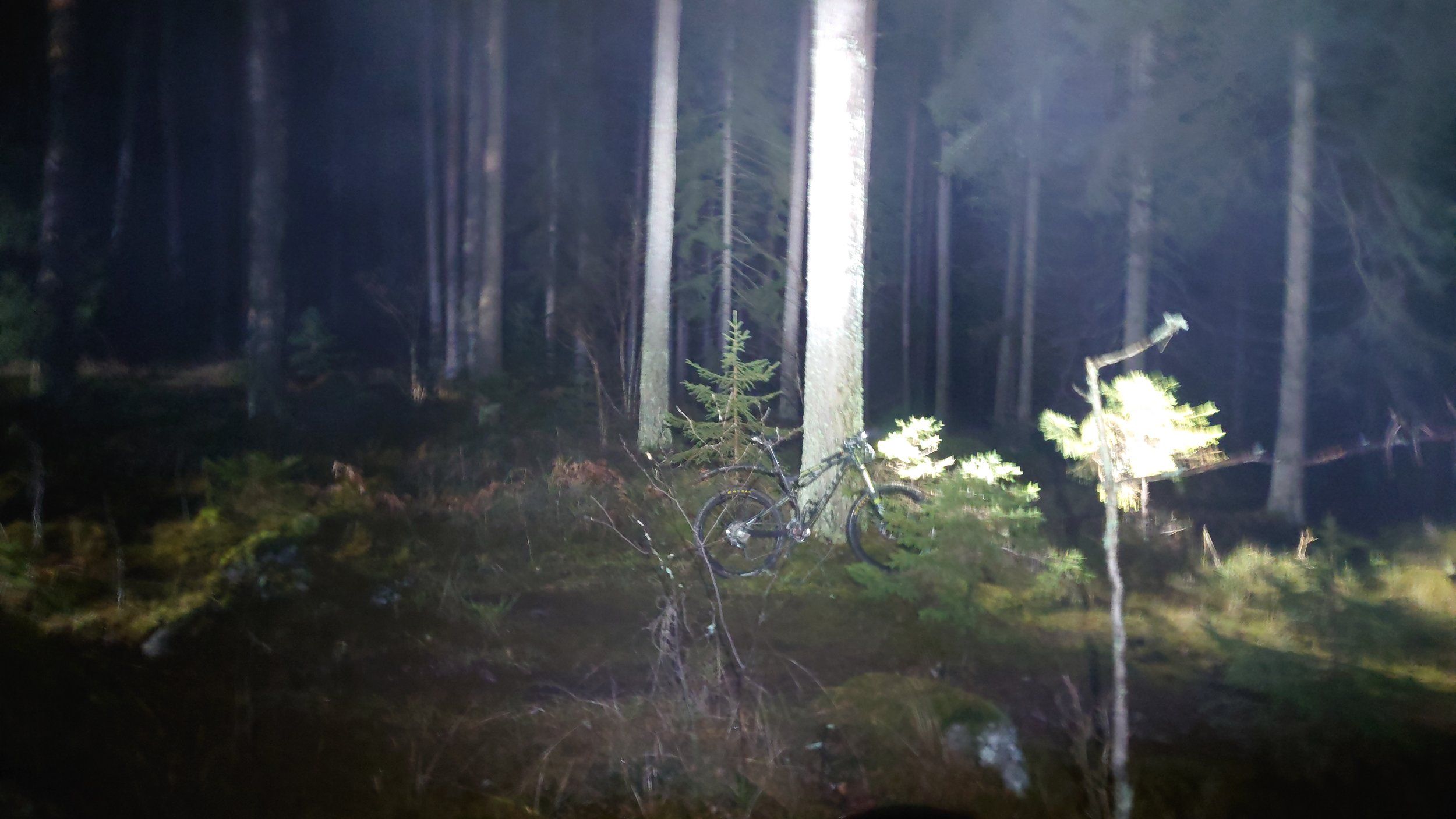DSC_0846.JPG