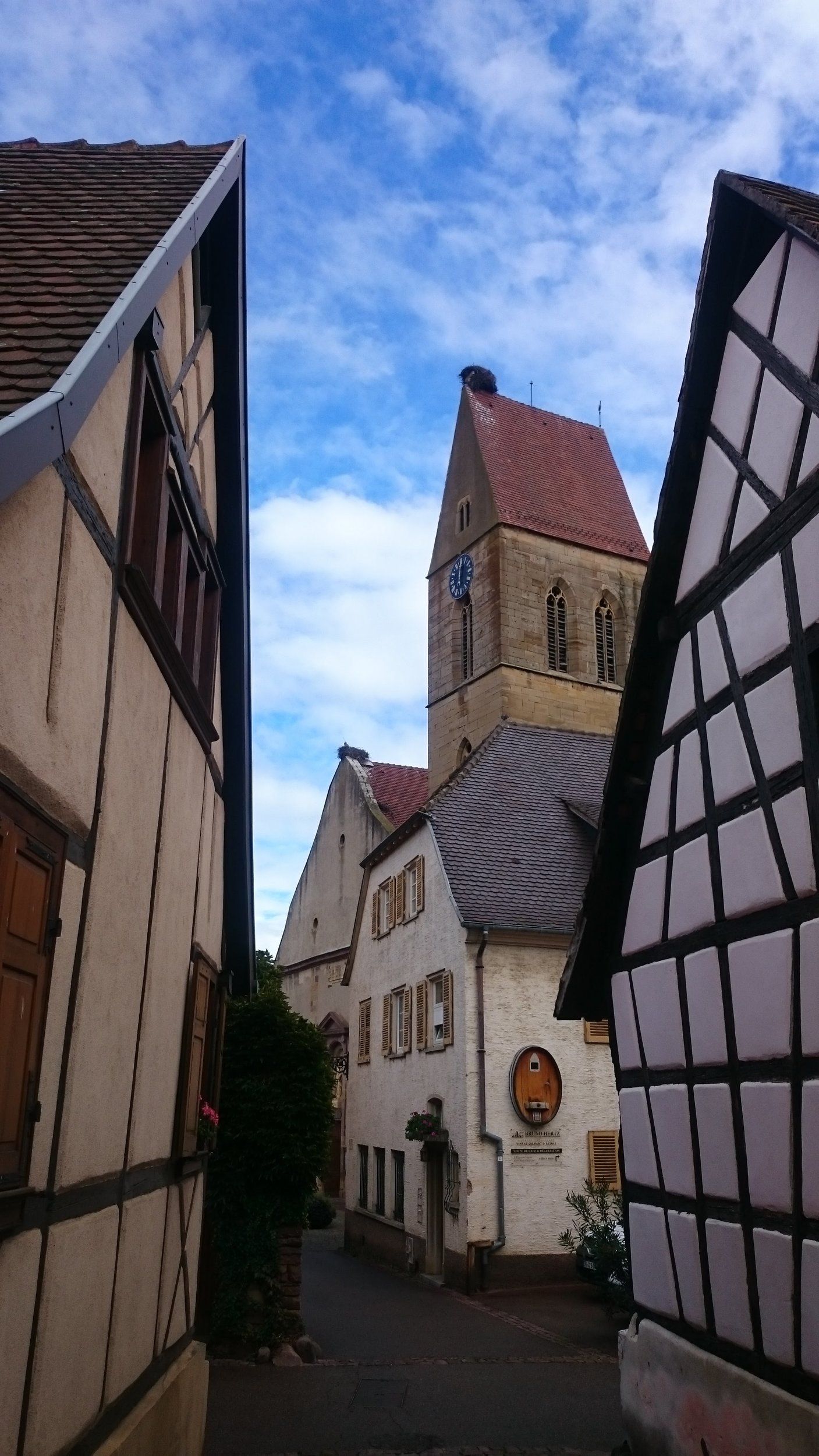 DSC_0848.JPG