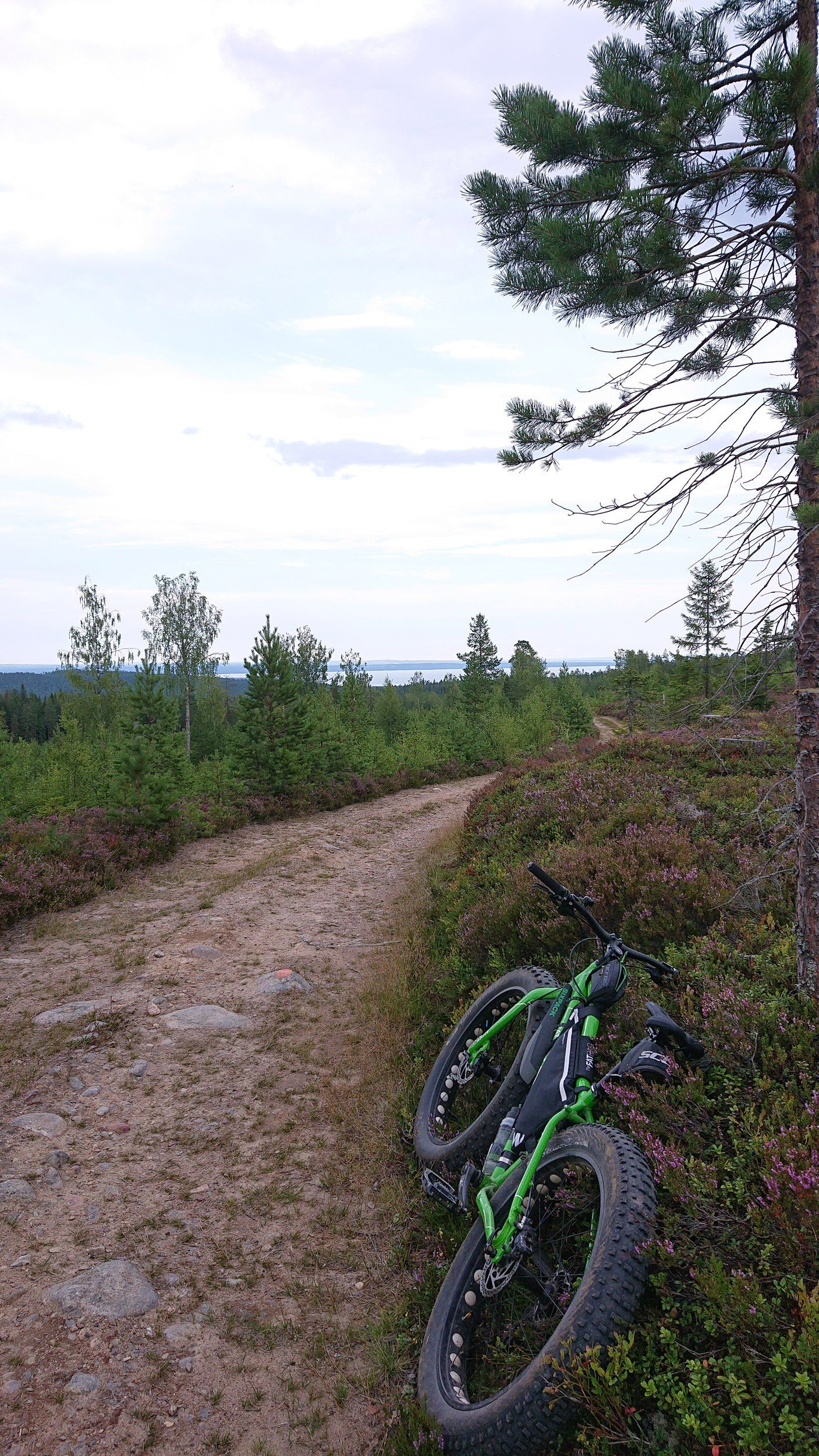 DSC_0854.JPG