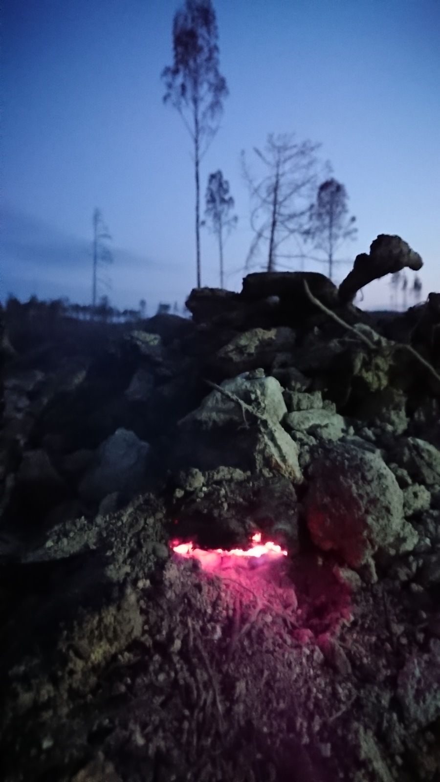 DSC_0856.JPG