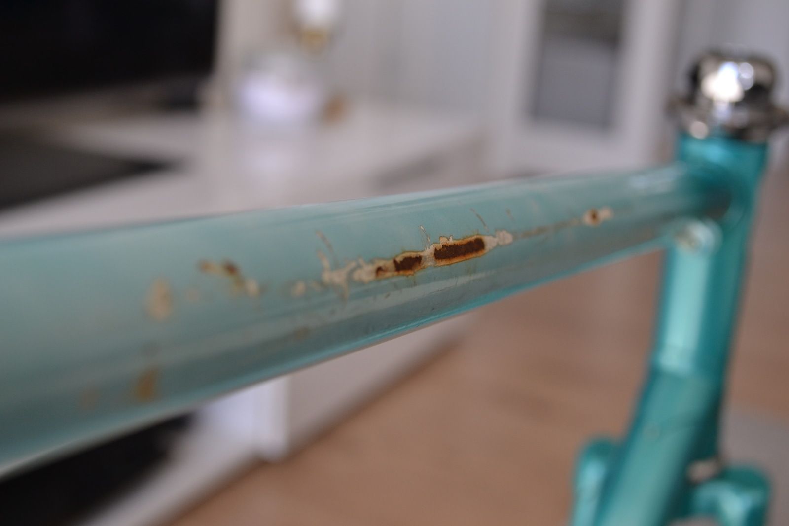 DSC_0858.JPG