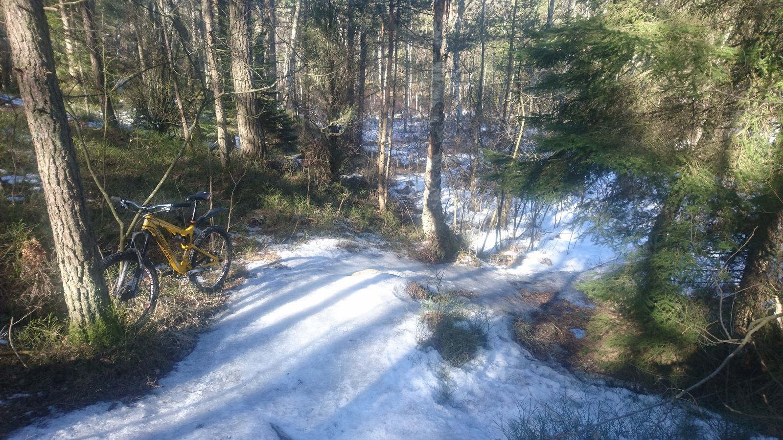 DSC_0912.JPG