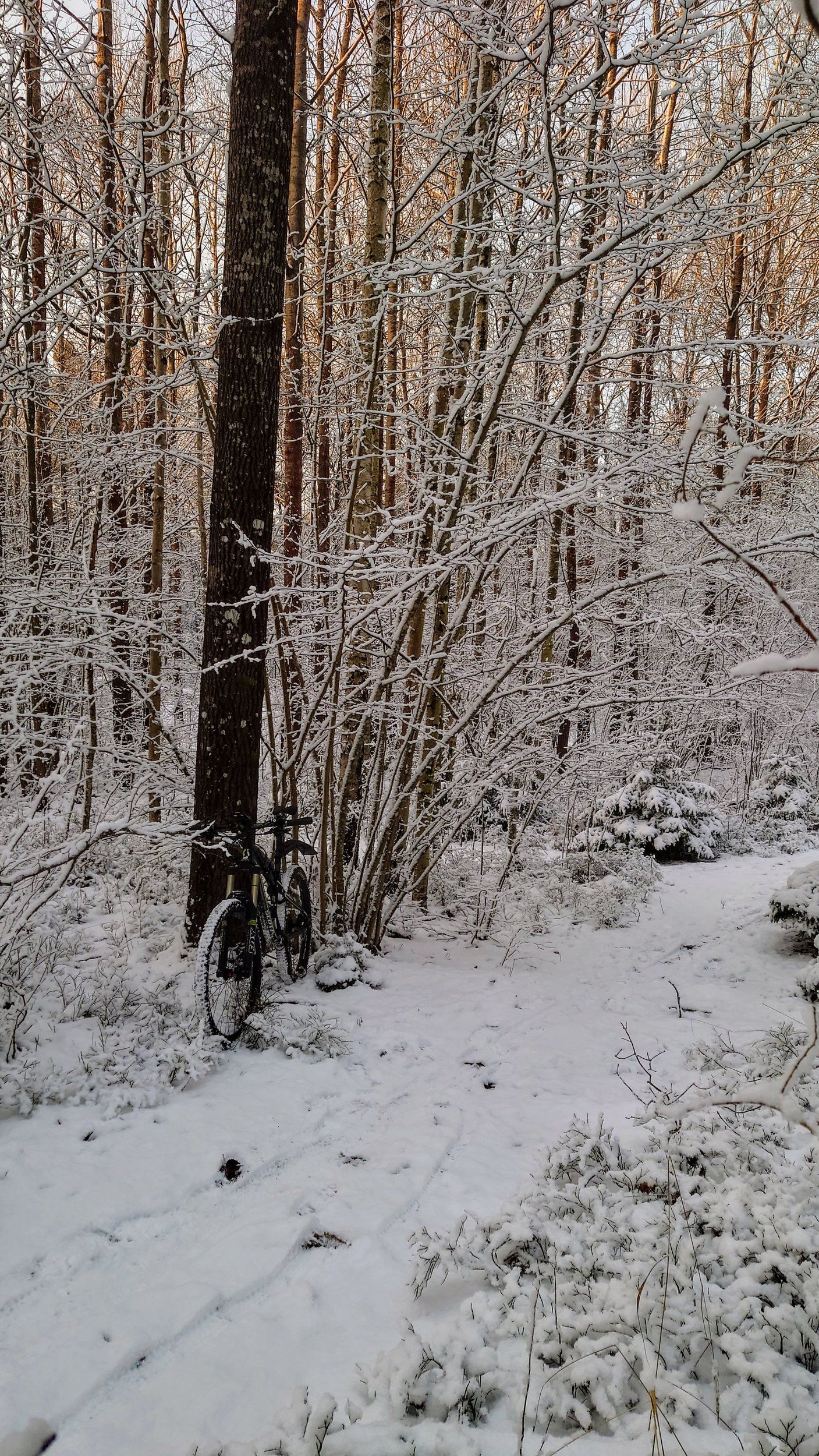 DSC_0927.JPG