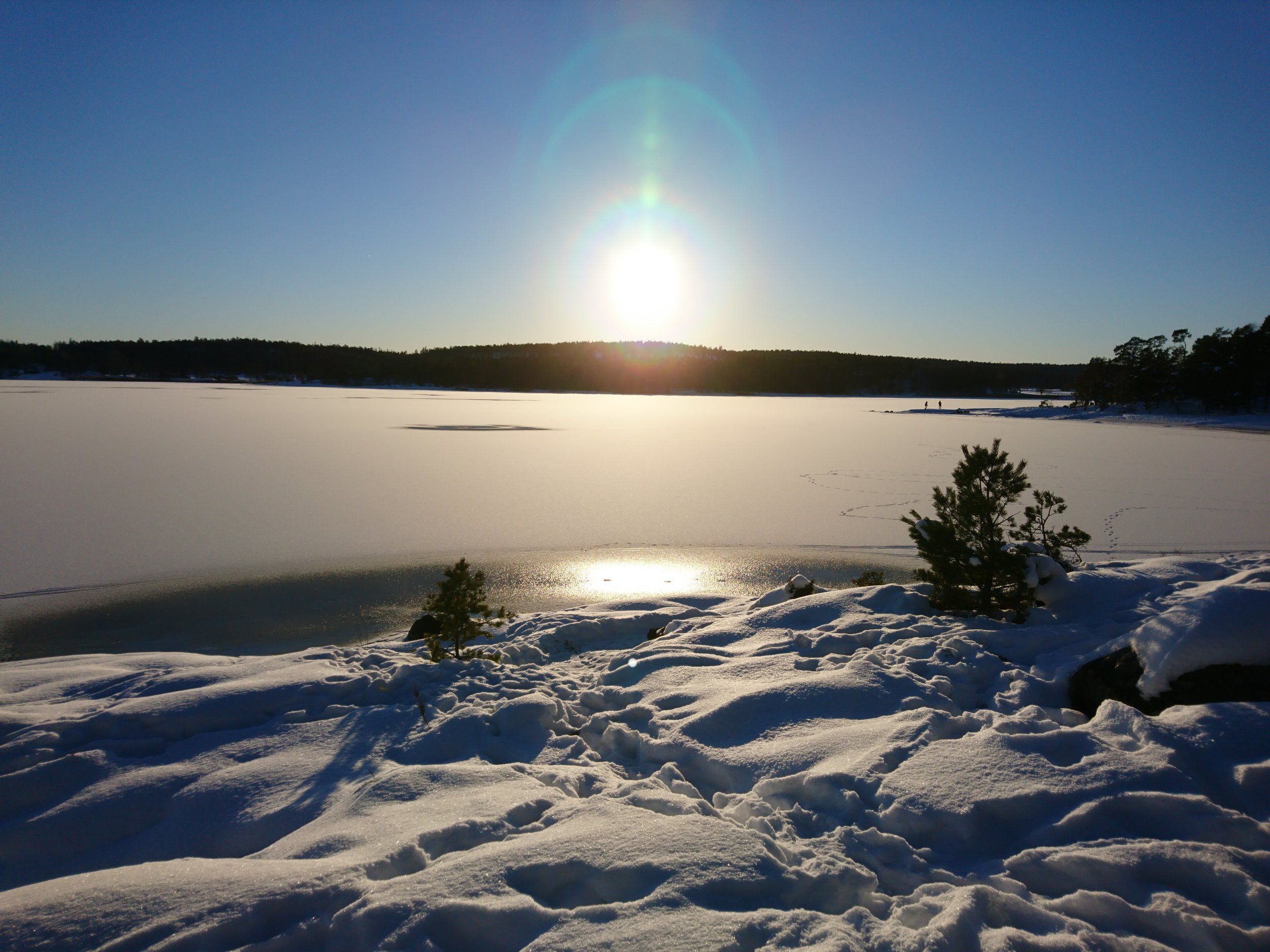 DSC_0944.JPG