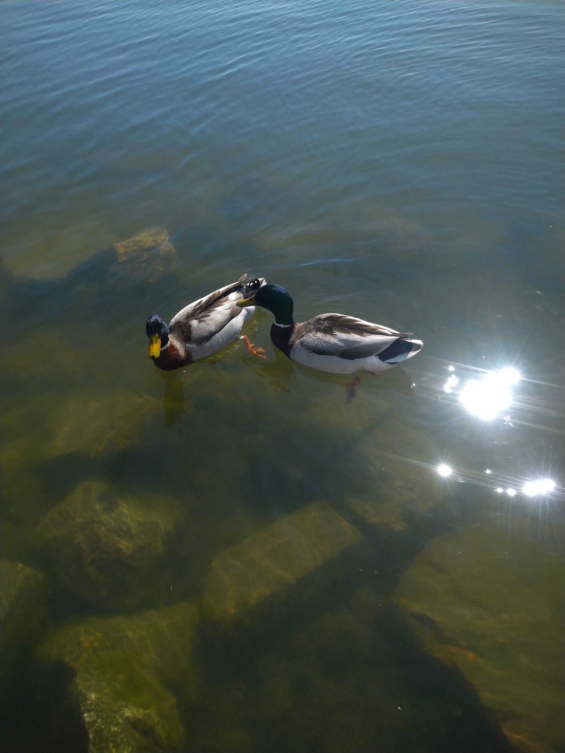 DSC_0945.JPG
