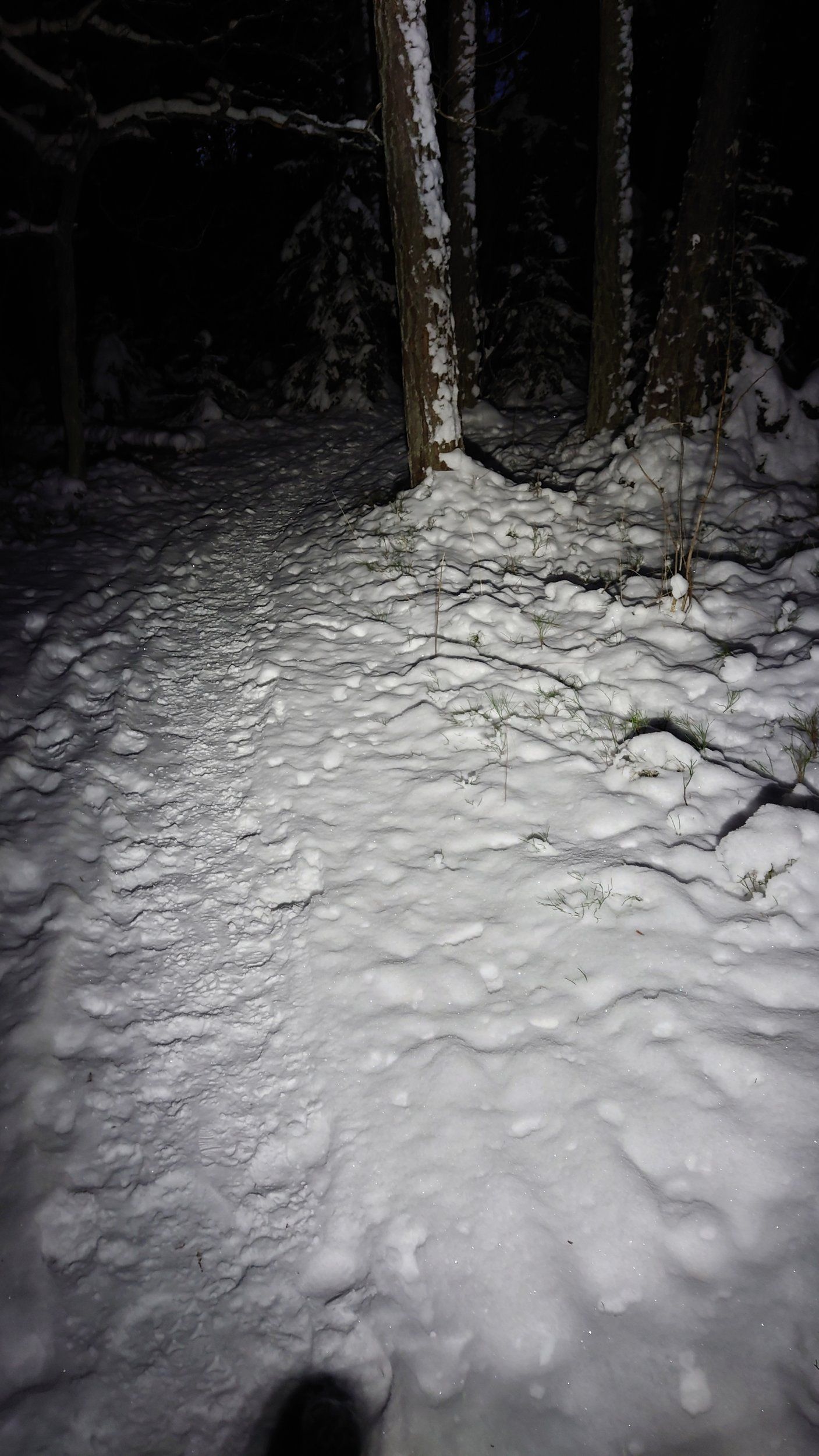 DSC_0978.JPG
