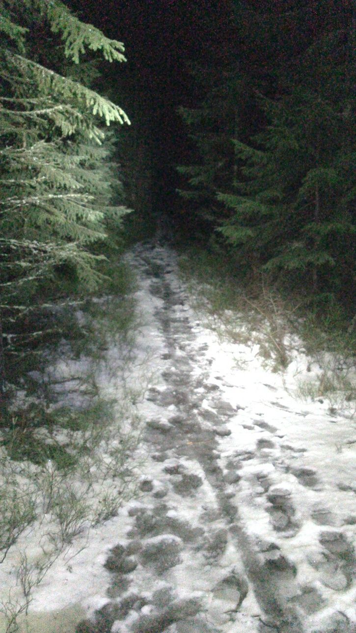 DSC_0982.jpg