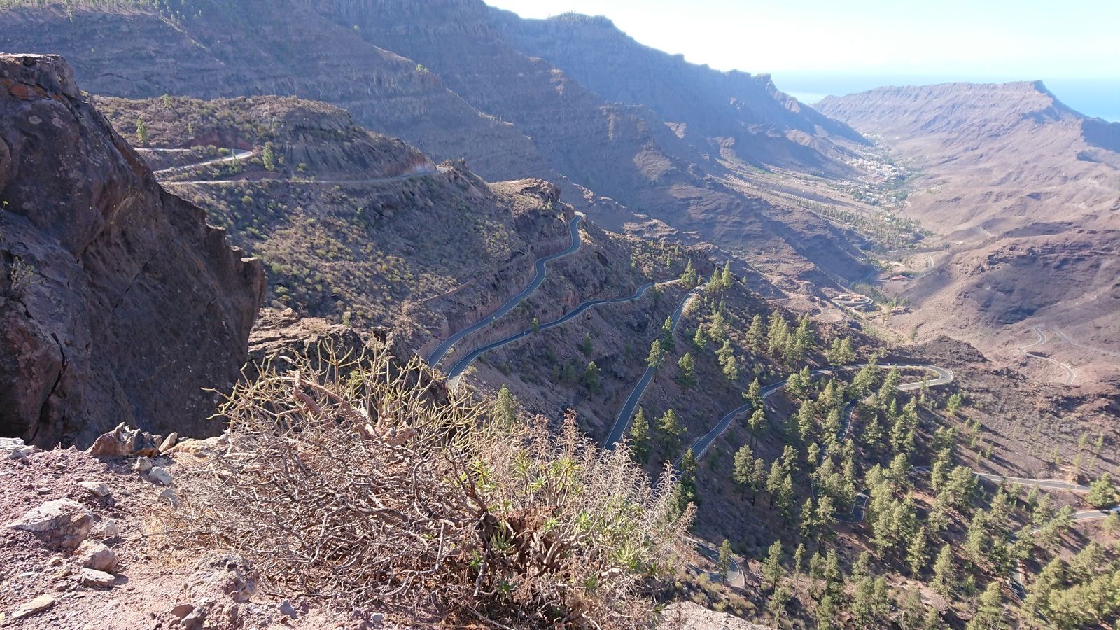 DSC_0987.JPG