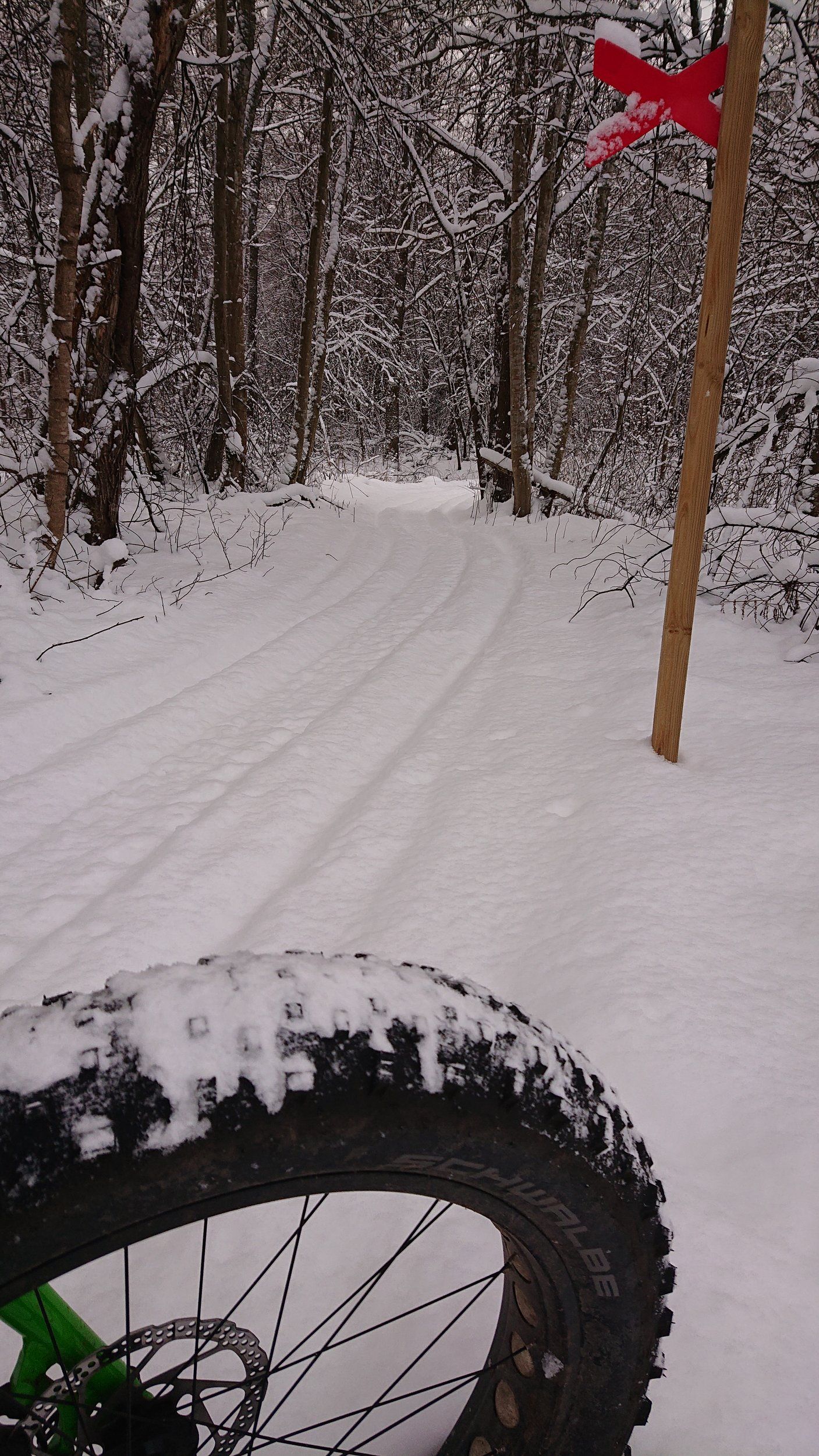DSC_1013.JPG
