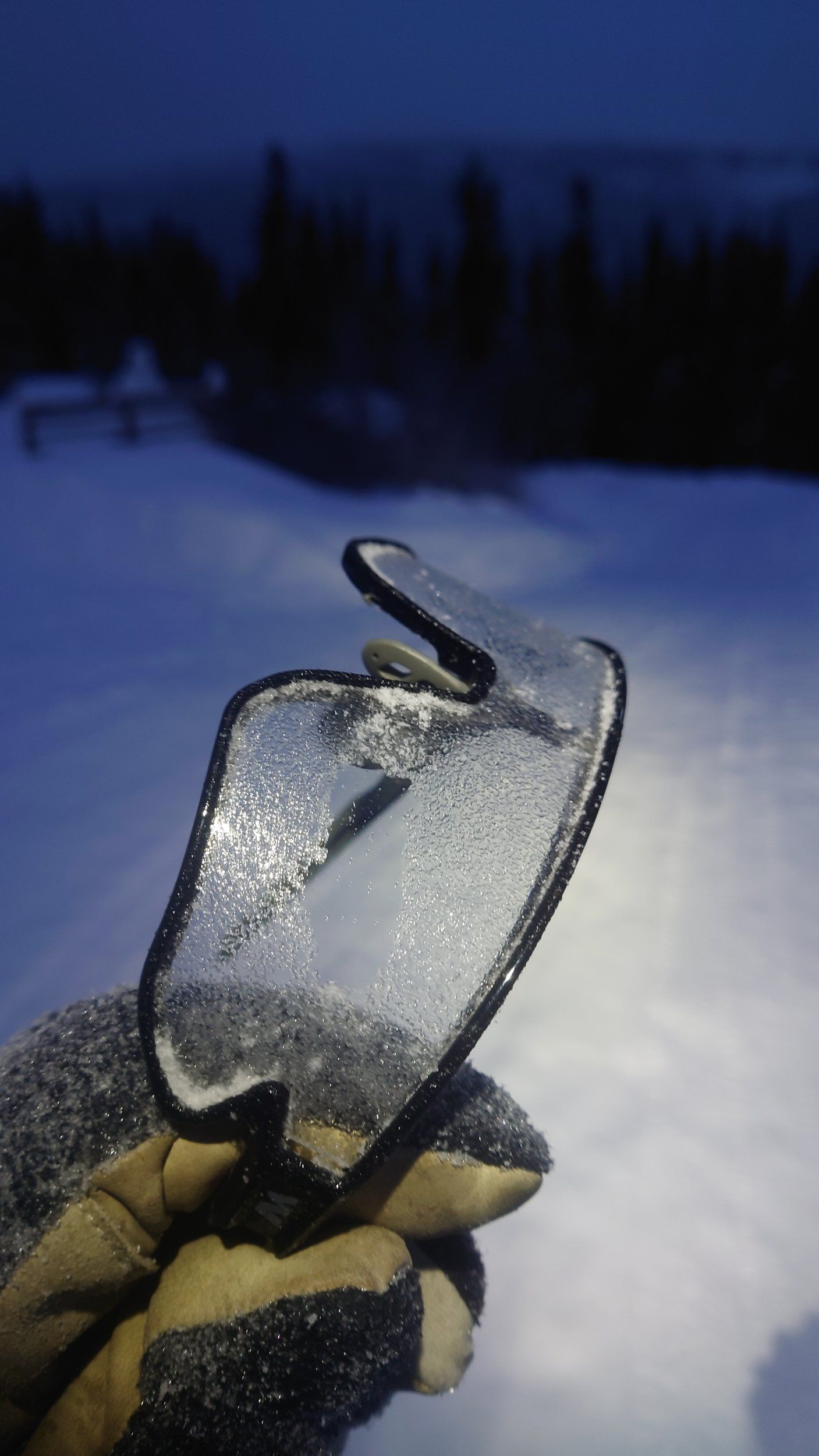 DSC_1017.JPG