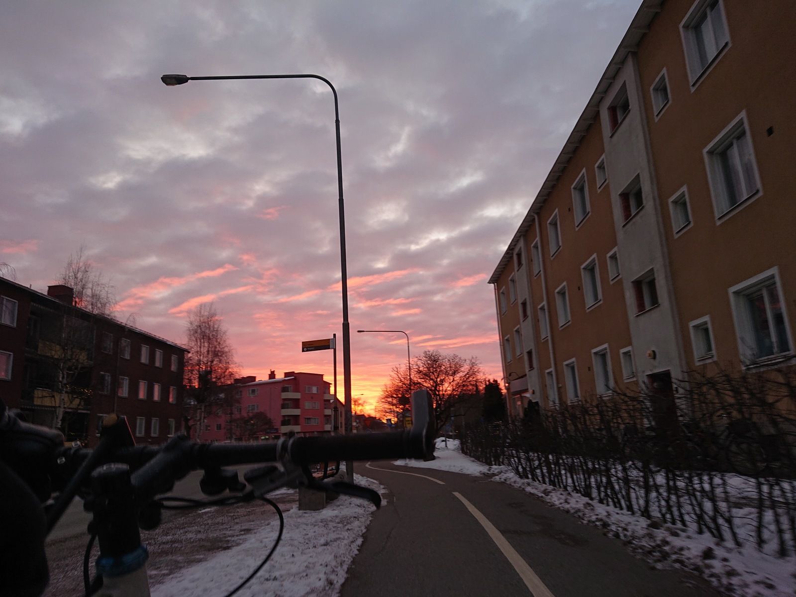 DSC_1020.JPG