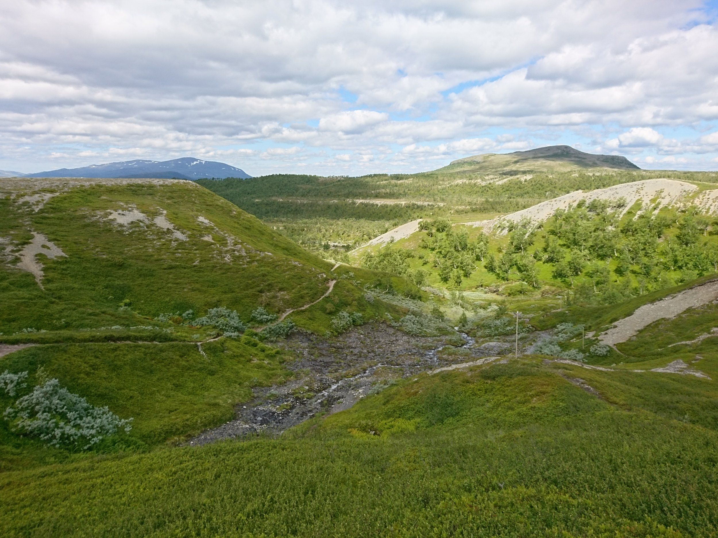 DSC_1020.JPG