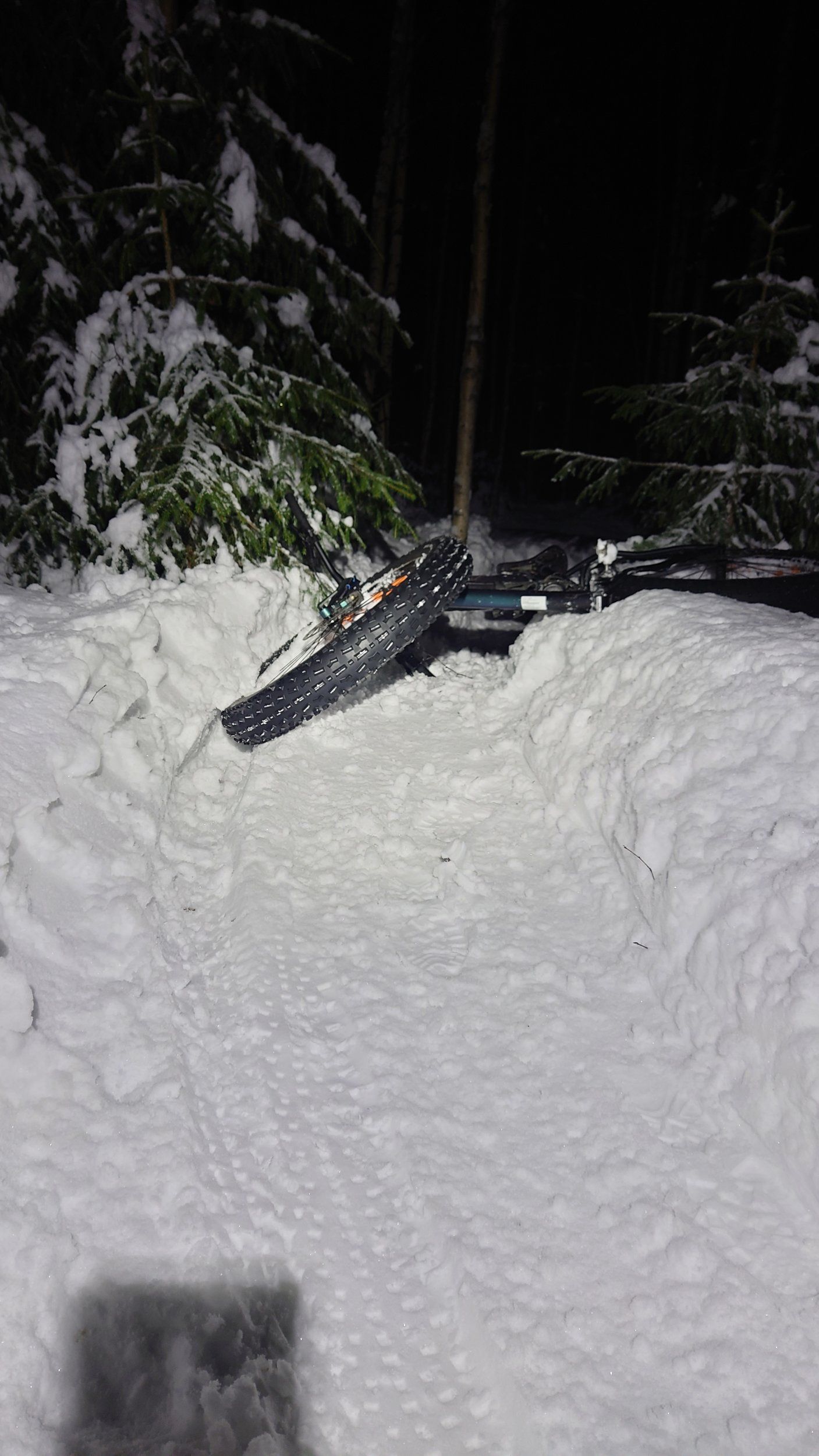 DSC_1045.JPG