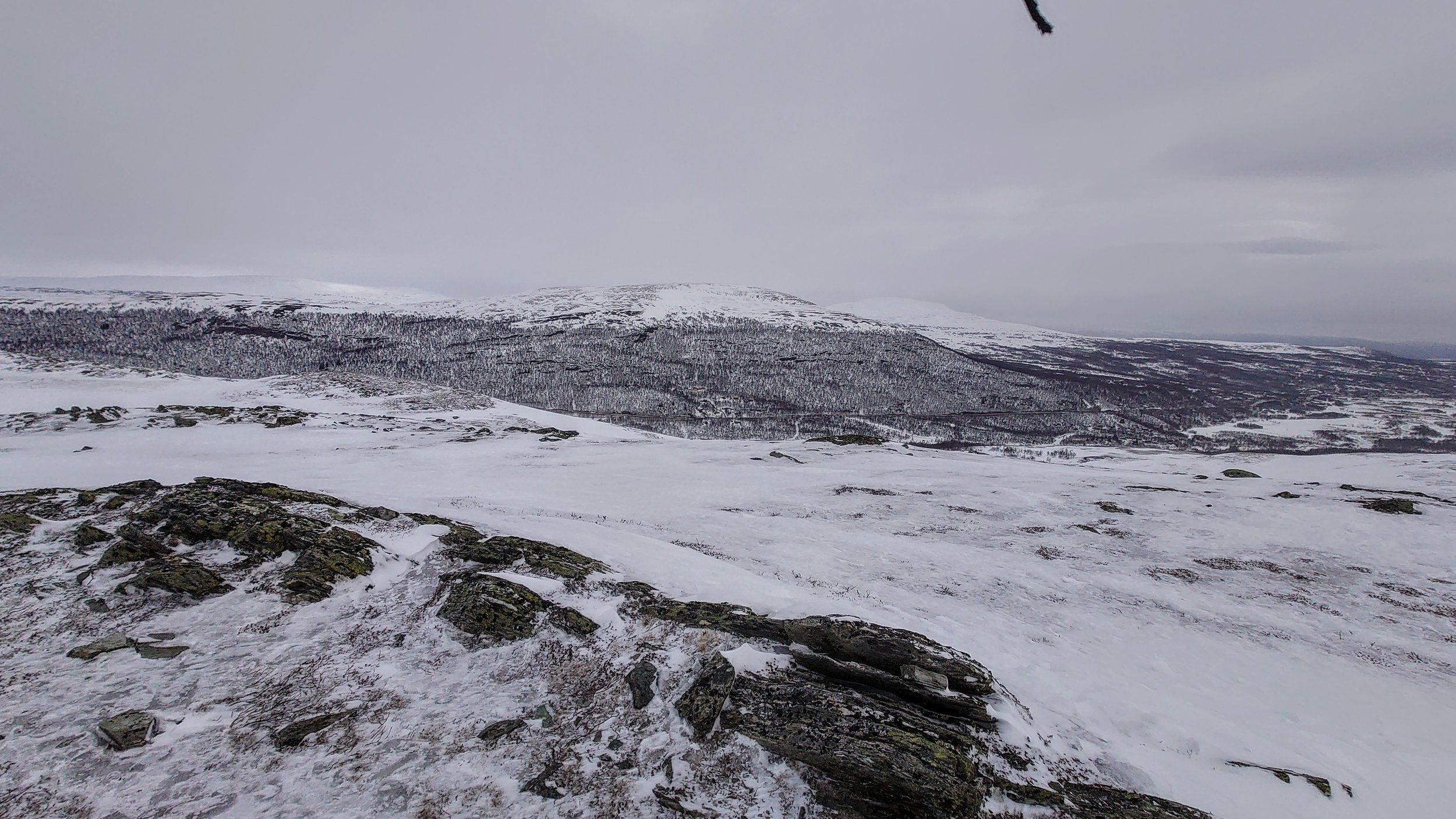 DSC_1047.JPG