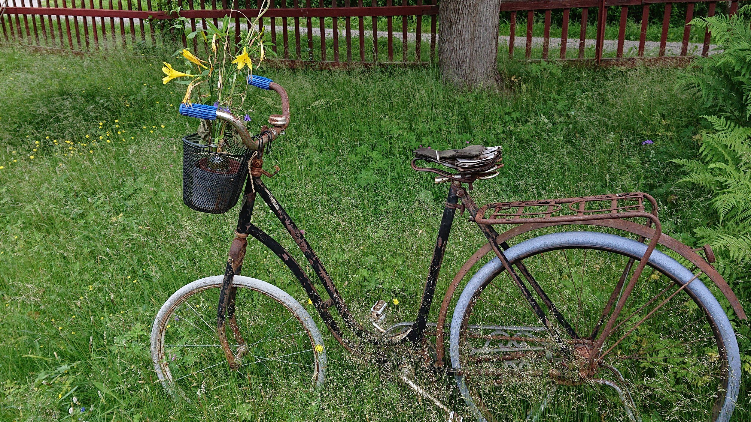 DSC_1114.JPG