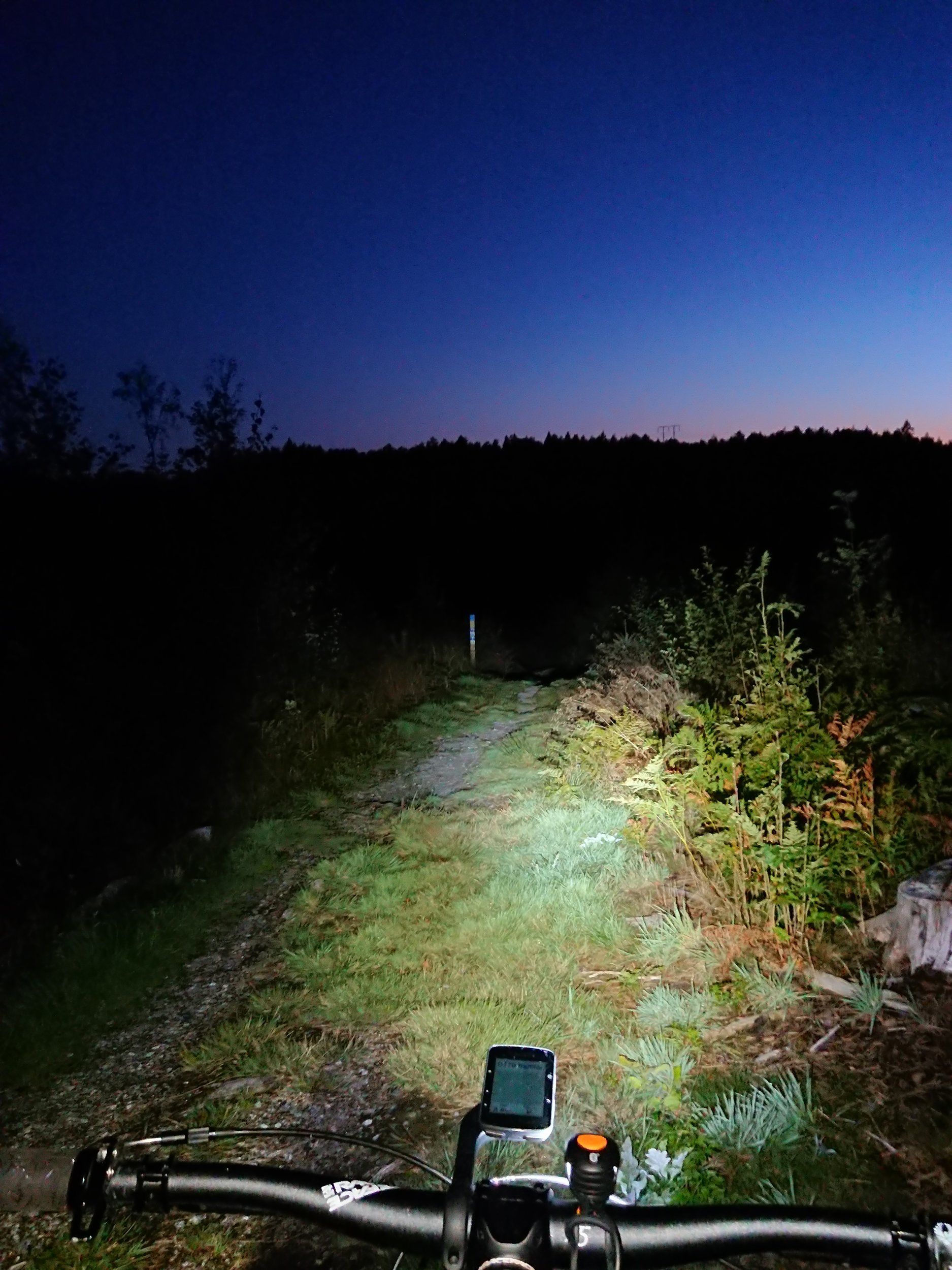 DSC_1118.JPG