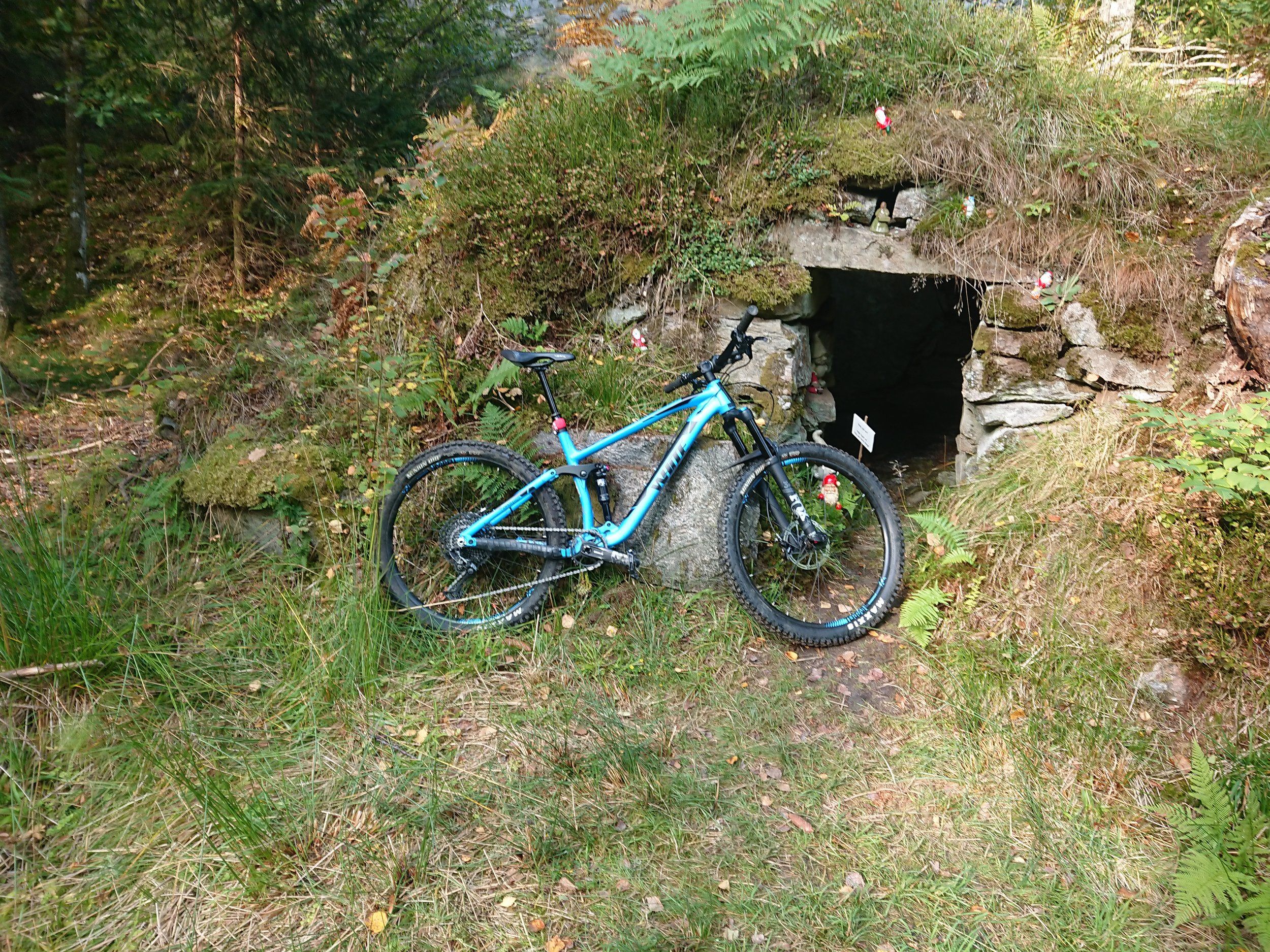 DSC_1133.JPG