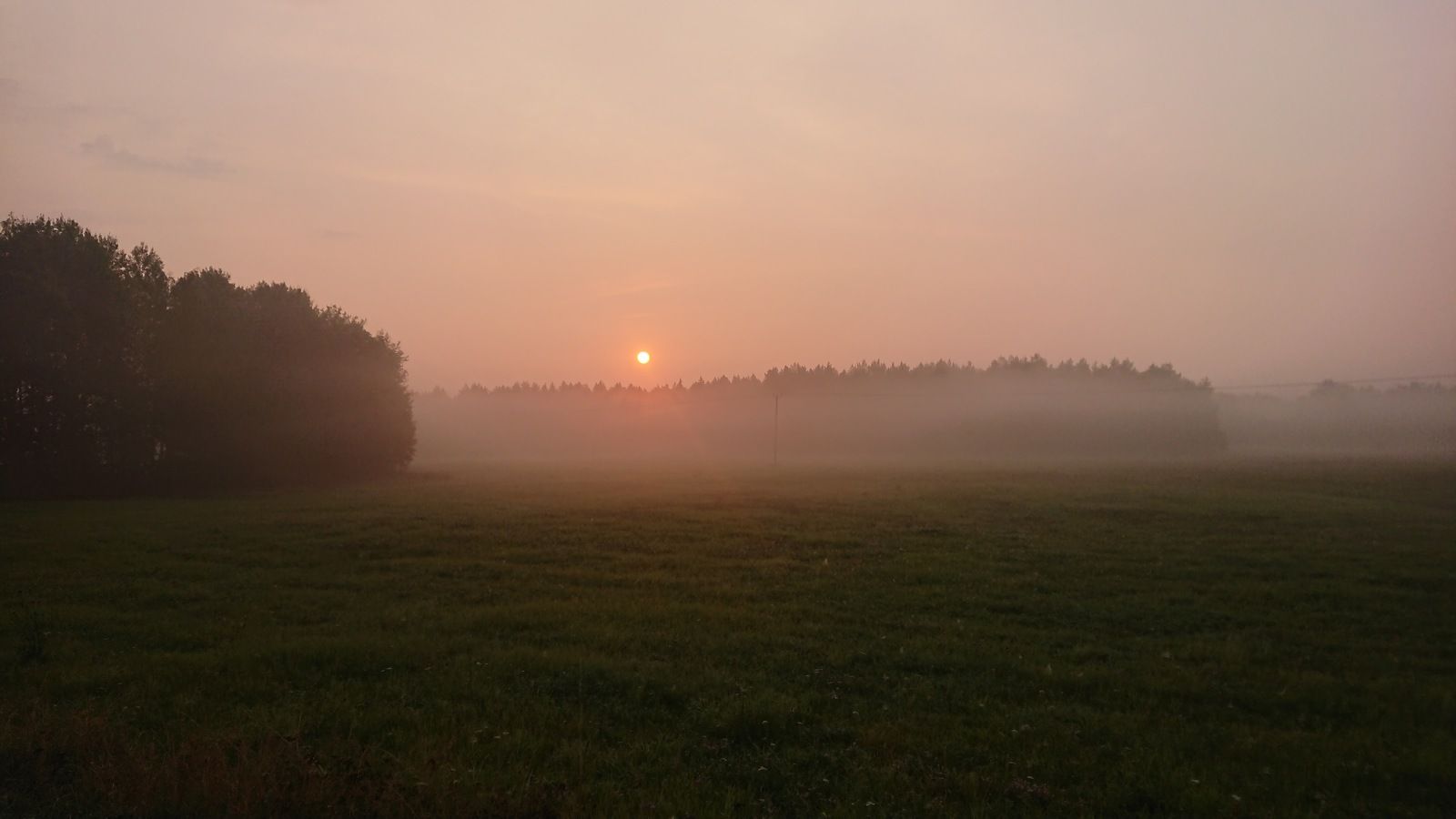 DSC_1137.JPG