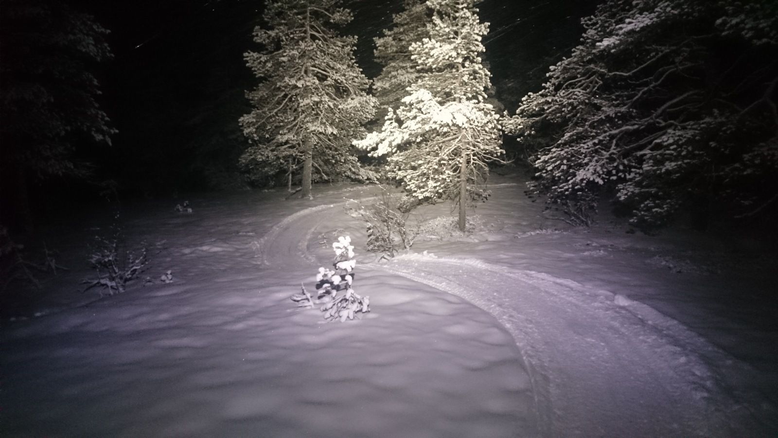 DSC_1152.JPG