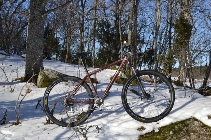 DSC_1154.JPG