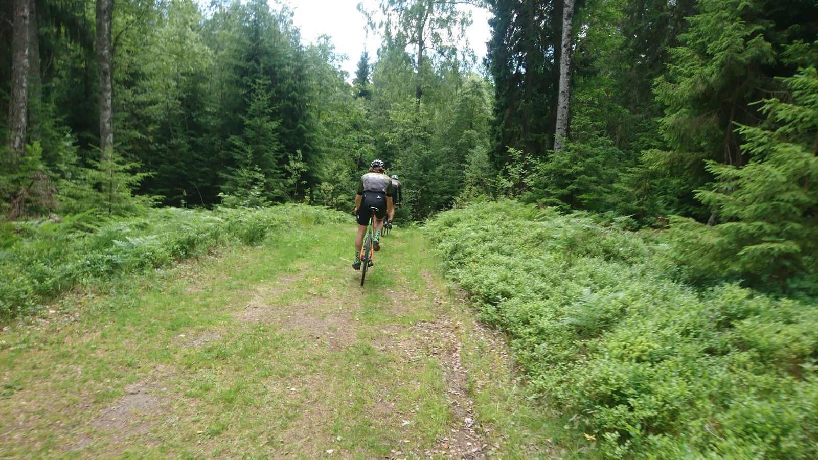 DSC_1187.JPG