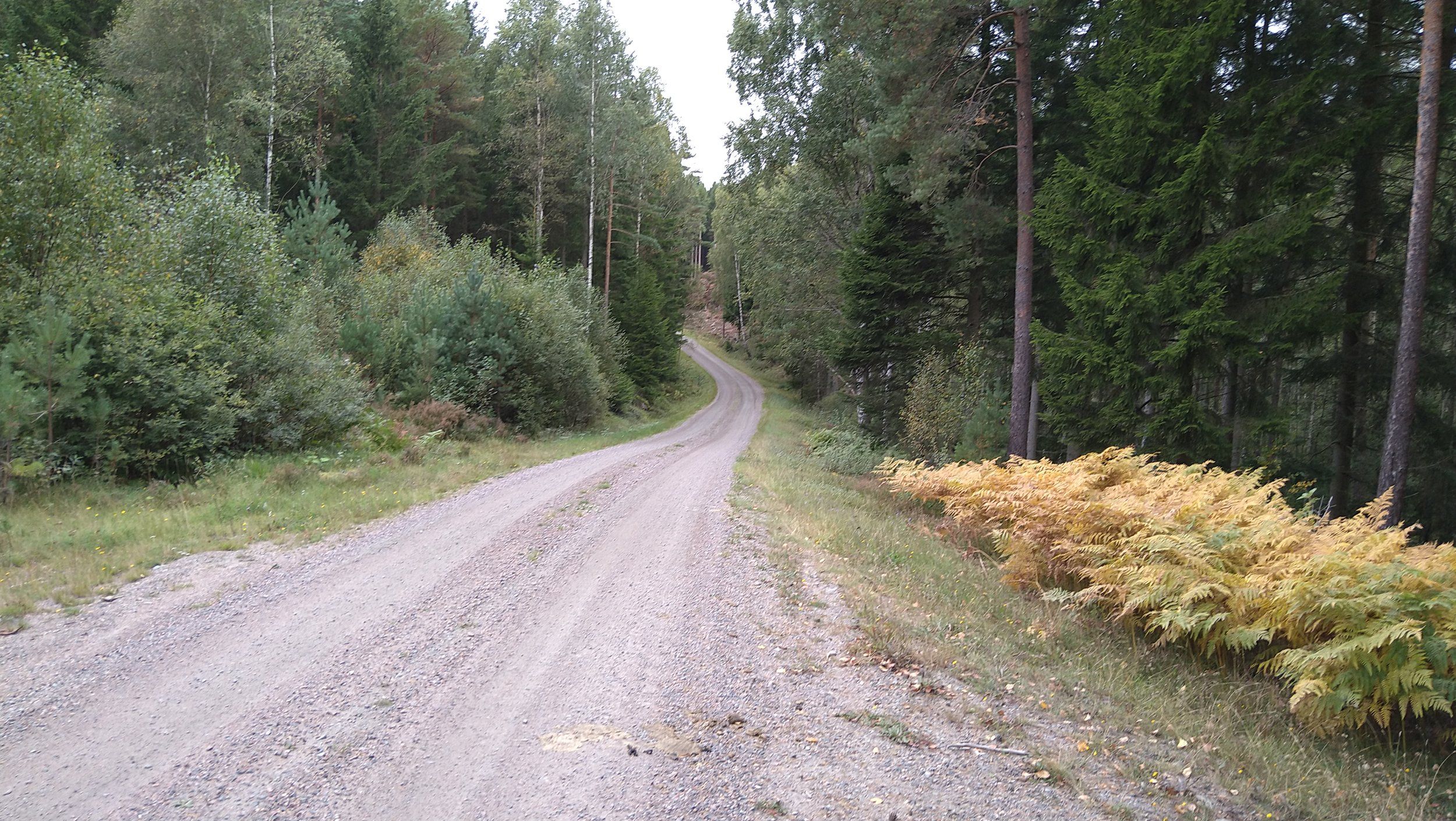 DSC_1221.JPG