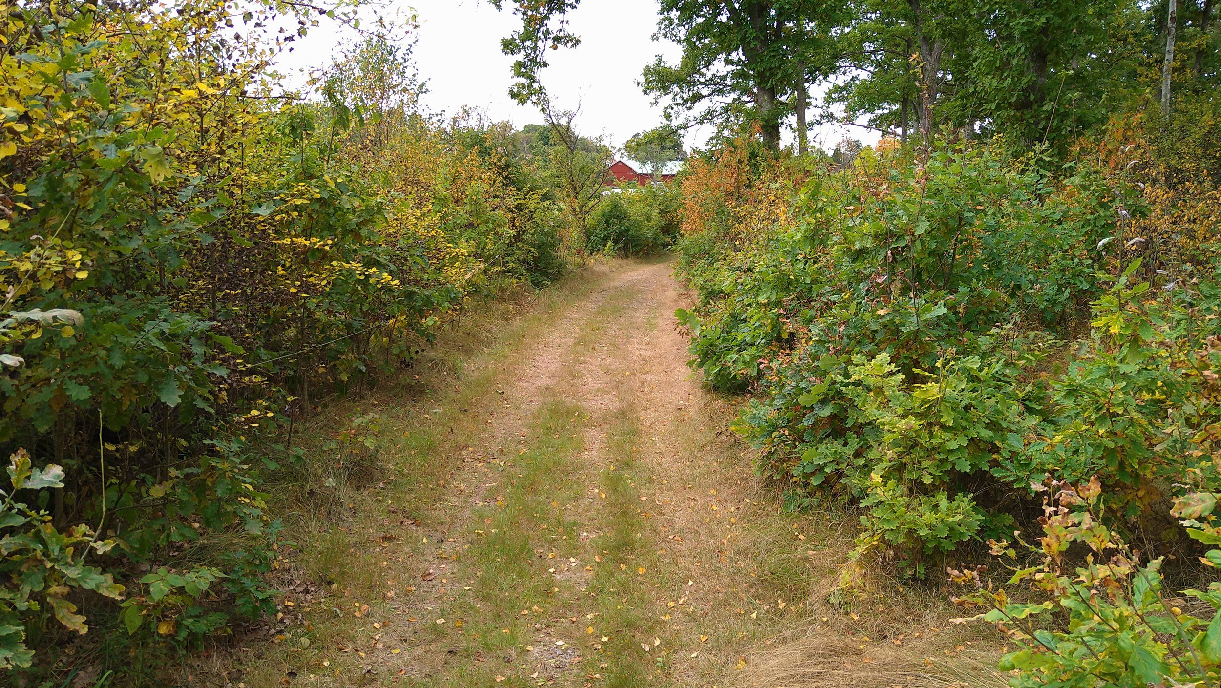 DSC_1223.JPG