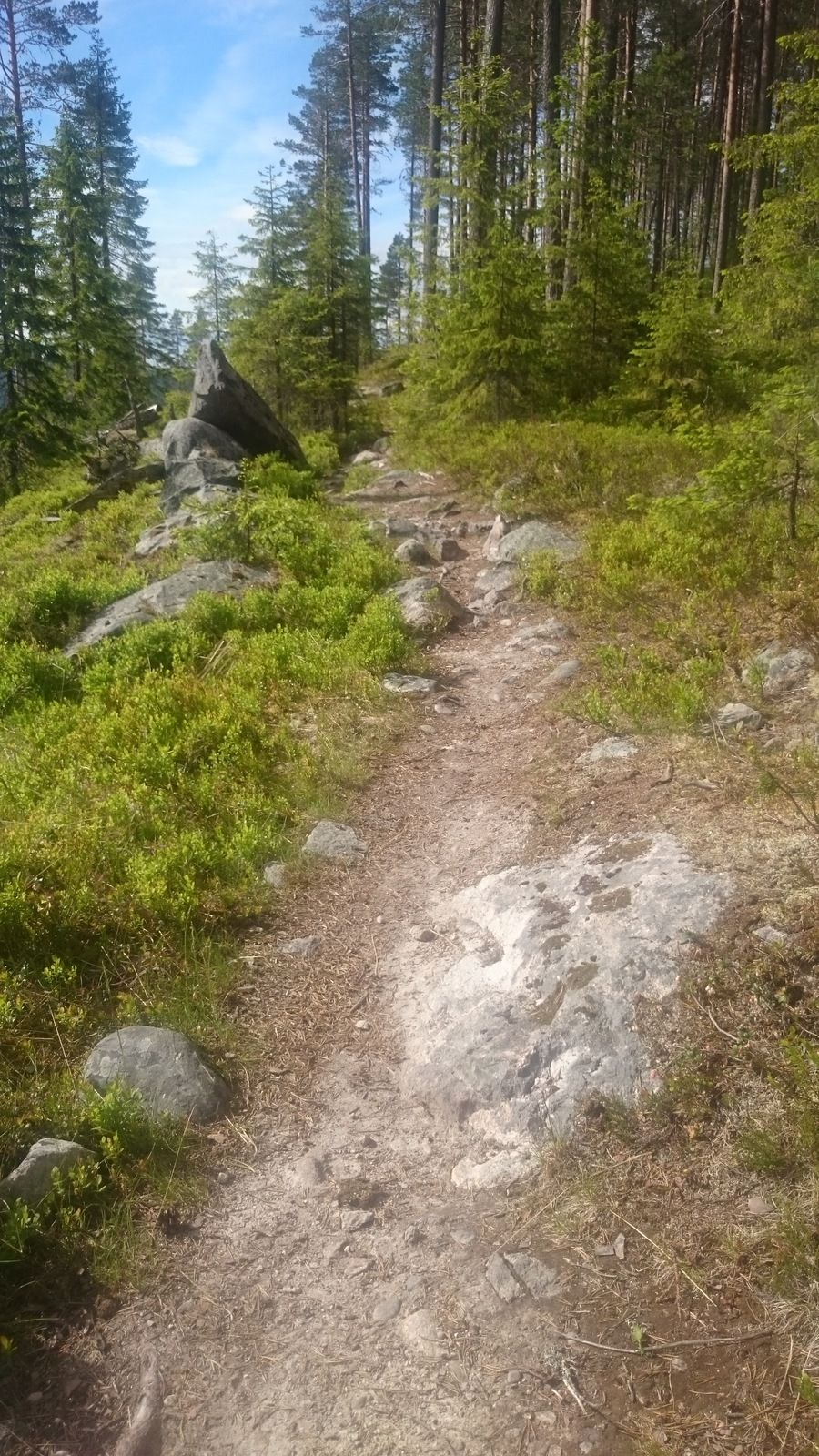 DSC_1236.JPG