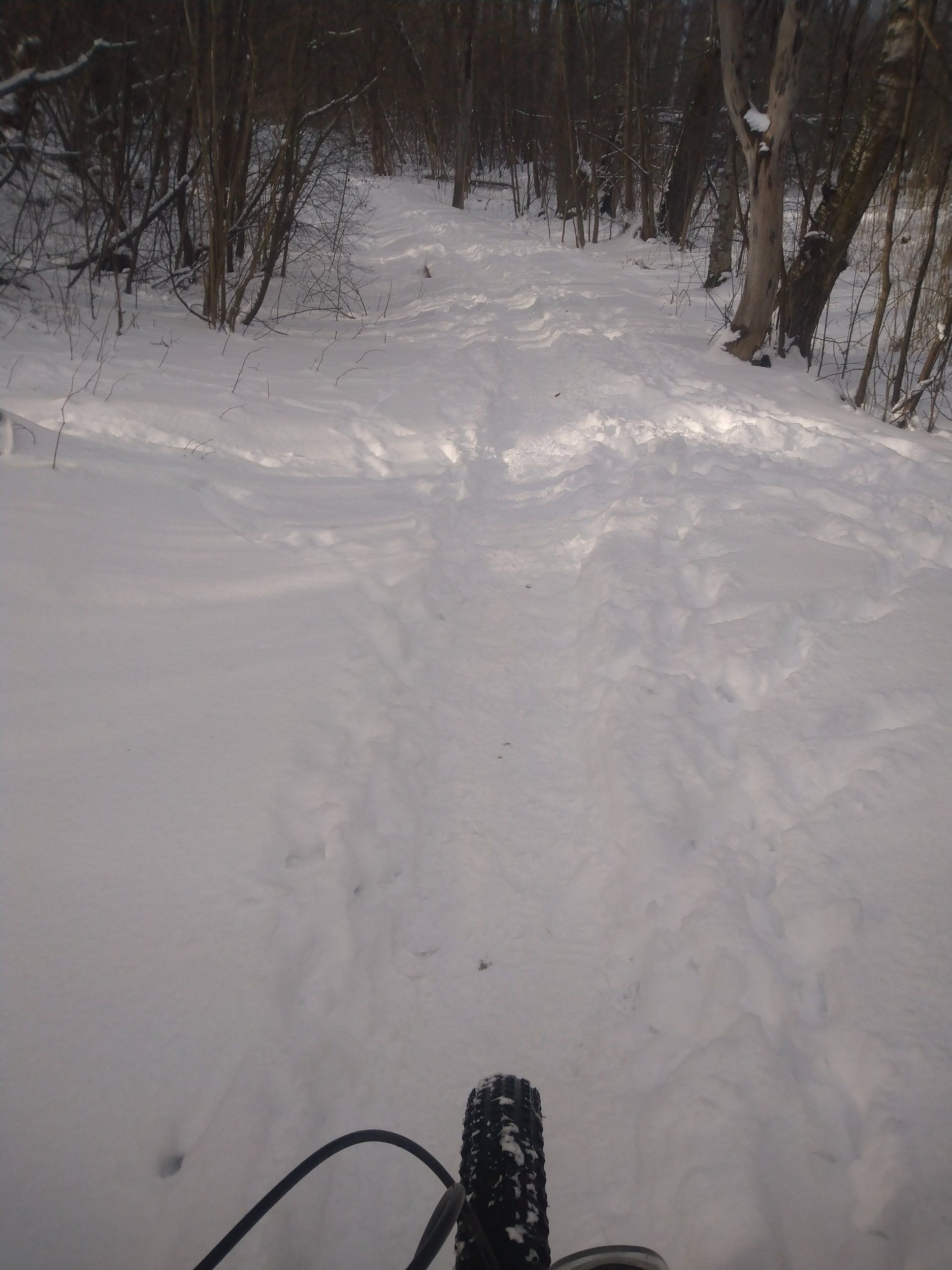 DSC_1257.JPG