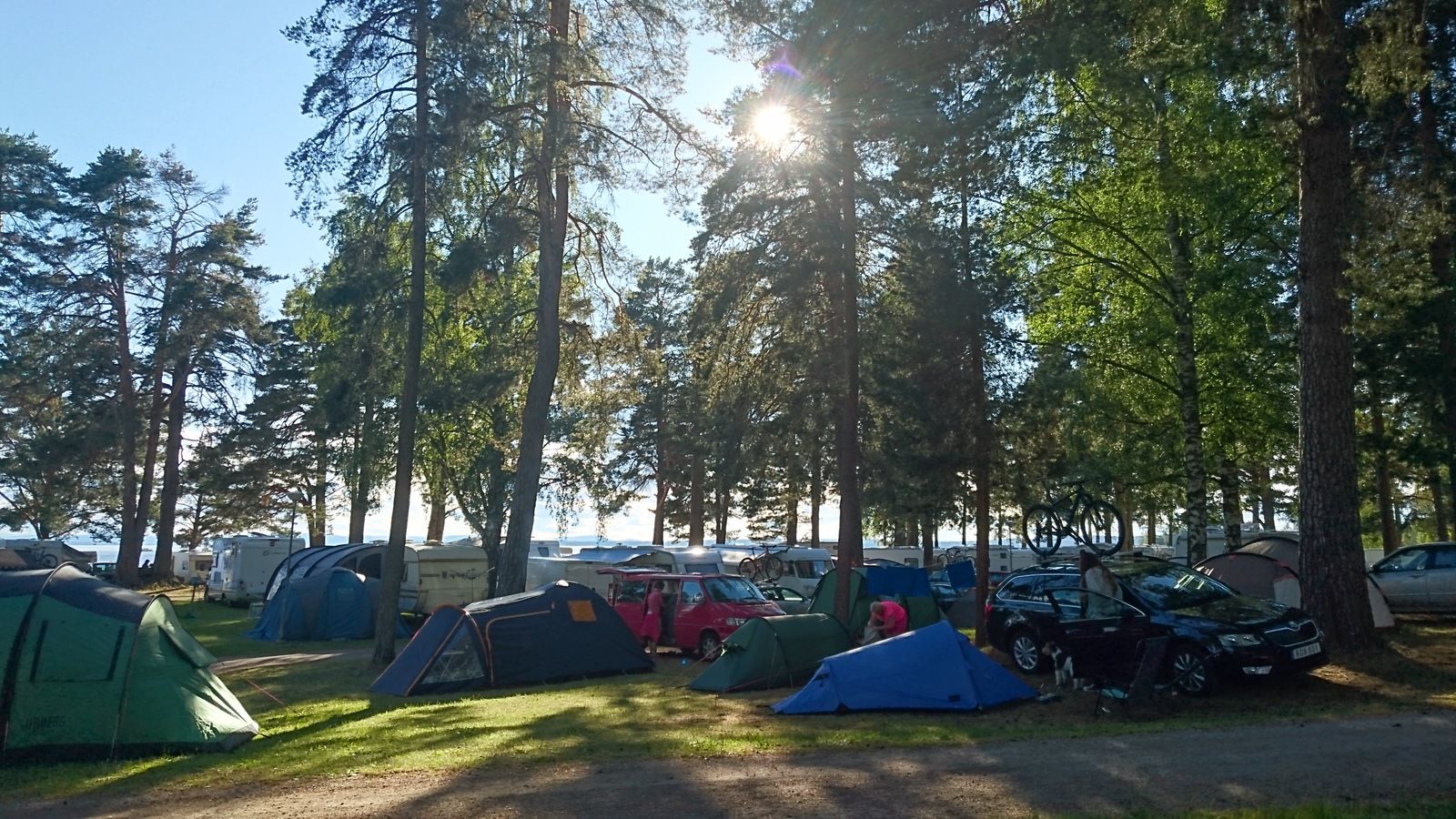 DSC_1267.JPG